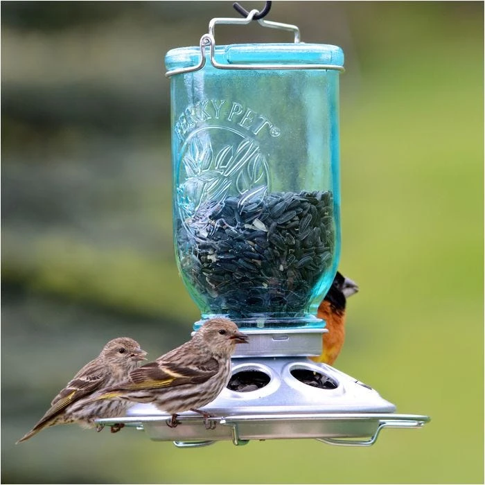 Perky-Pet® Mason Jar Wild Bird Feeder