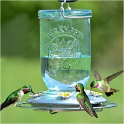Perky-PetĀ® Mason Jar Hummingbird Feeder