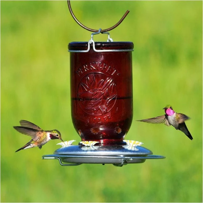 Perky-Pet® Red Mason Jar Hummingbird Feeder