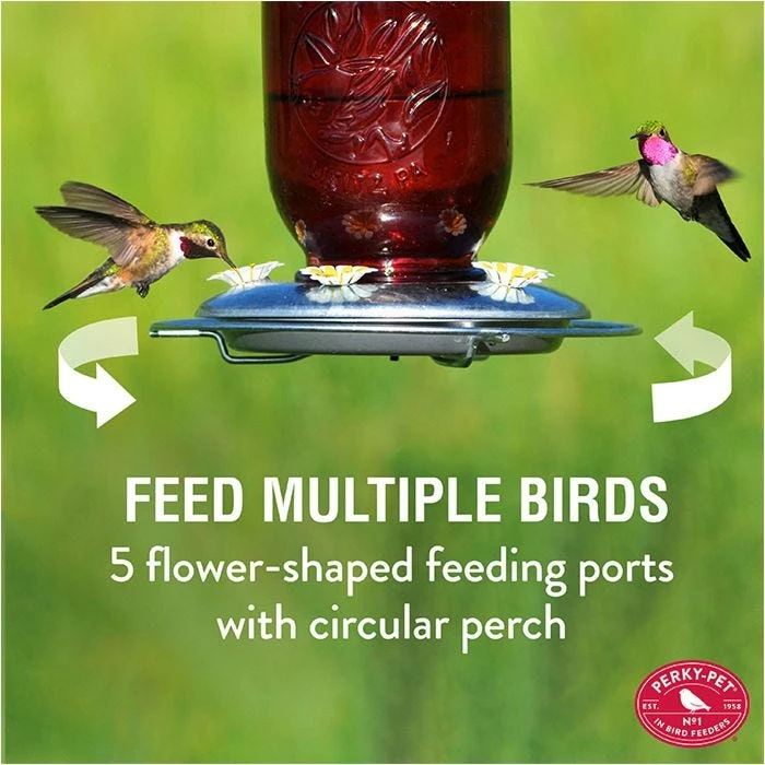 Perky-Pet® Red Mason Jar Hummingbird Feeder - Image 4