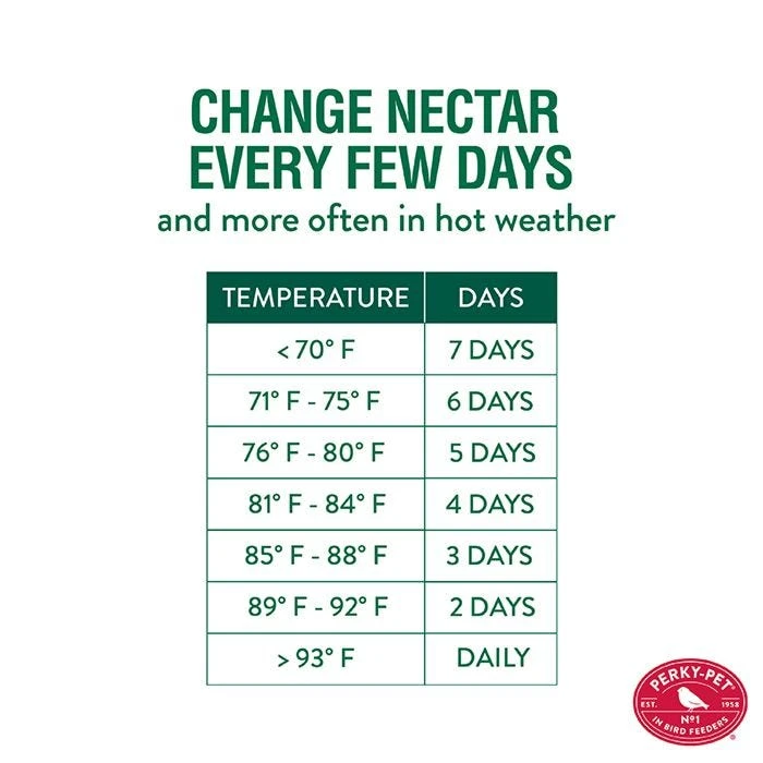 Perky-Pet® Red Mason Jar Hummingbird Feeder - Image 9