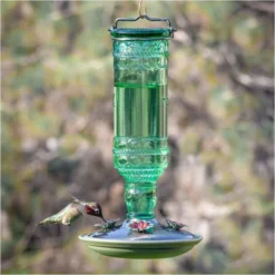 Perky-PetĀ® Green Antique Glass Bottle Hummingbird Feeder - 10 Oz Nectar Capacity
