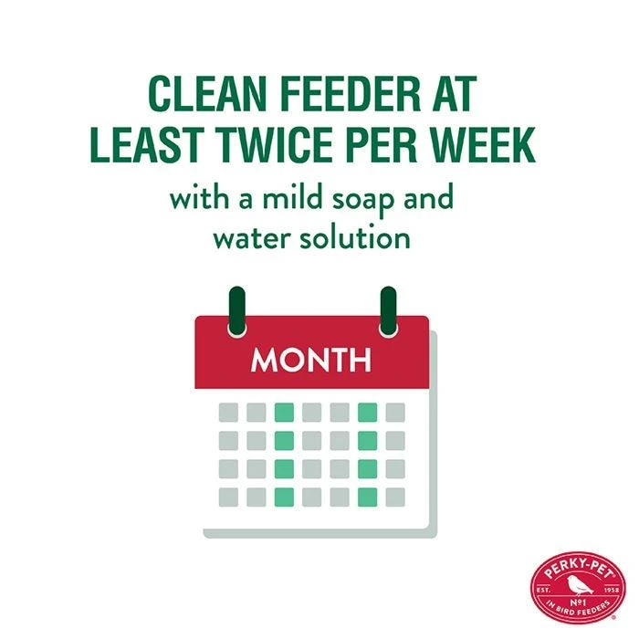 Perky-PetĀ® Looking Glass Hummingbird Feeder - Image 6