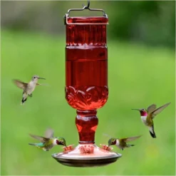 Perky-PetĀ® Red Antique Glass Bottle Hummingbird Feeder - 24 Oz Nectar Capacity