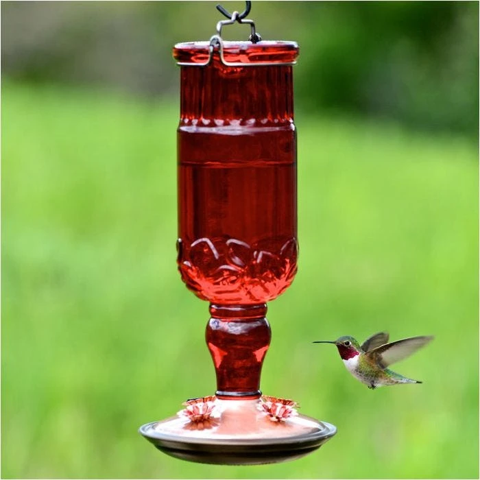 Perky-PetĀ® Red Antique Glass Bottle Hummingbird Feeder - 24 Oz Nectar Capacity - Image 11