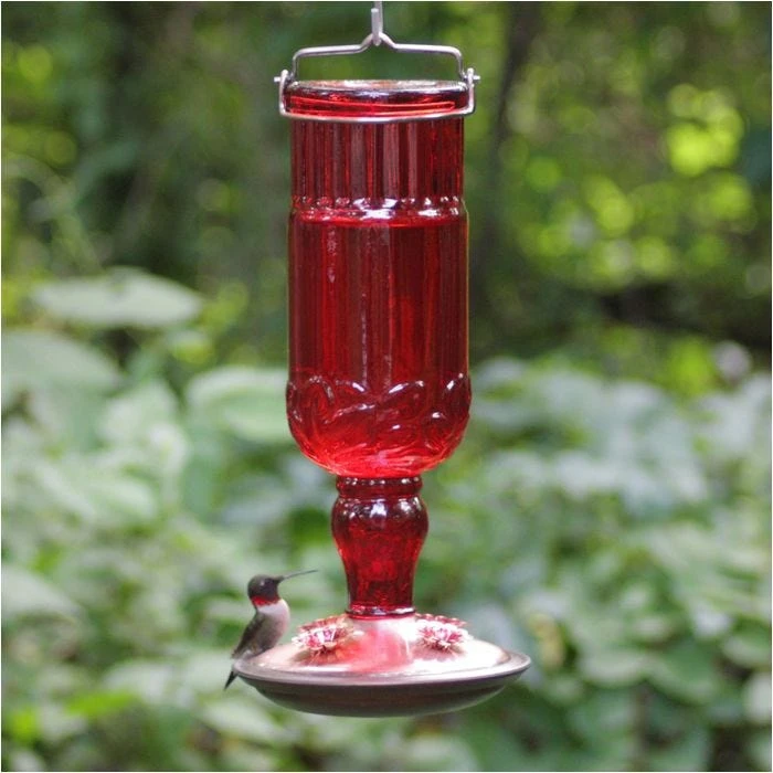 Perky-PetĀ® Red Antique Glass Bottle Hummingbird Feeder - 24 Oz Nectar Capacity - Image 10