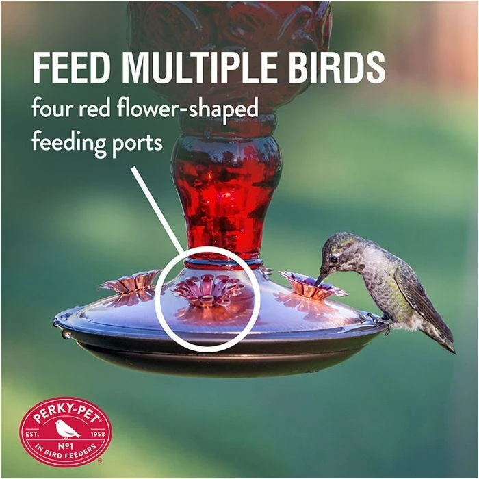 Perky-PetĀ® Red Antique Glass Bottle Hummingbird Feeder - 24 Oz Nectar Capacity - Image 4
