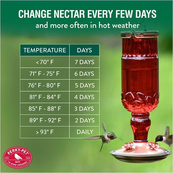 Perky-PetĀ® Red Antique Glass Bottle Hummingbird Feeder - 24 Oz Nectar Capacity - Image 8