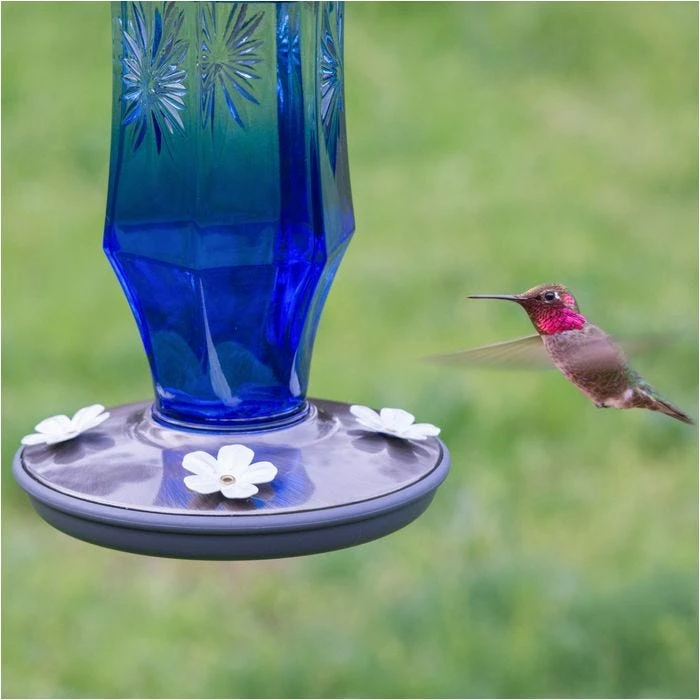 Perky-Pet® Sapphire Starburst Vintage Glass Hummingbird Feeder - Image 3