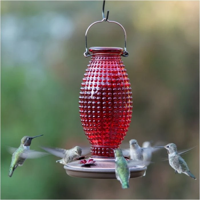 Perky-PetĀ® Red Hobnail Vintage Glass Hummingbird Feeder - Image 3
