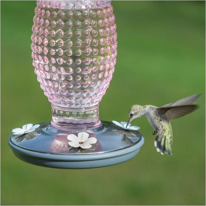 Perky-Pet® Cranberry Hobnail Vintage Glass Hummingbird Feeder - Image 4