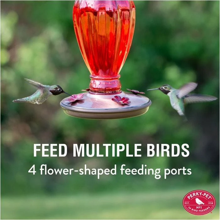 Perky-Pet® Daisy Vase Vintage Glass Hummingbird Feeder - Image 3