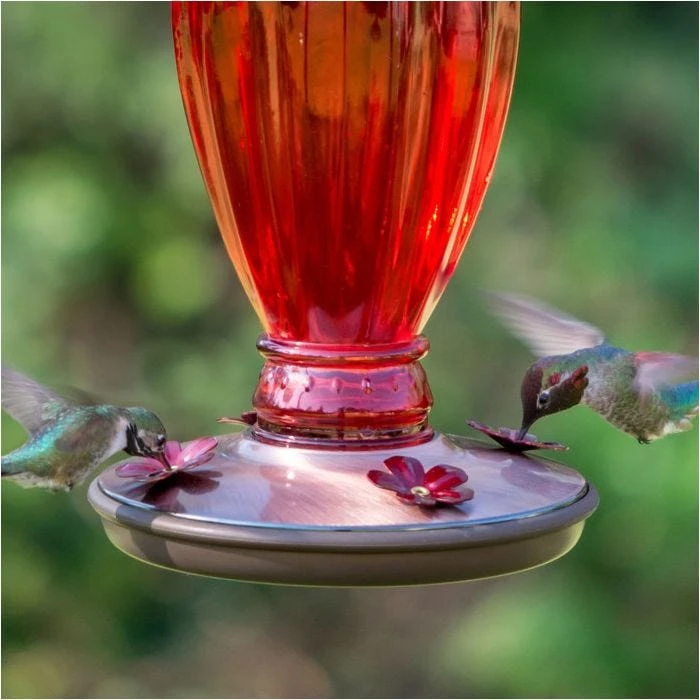 Perky-Pet® Daisy Vase Vintage Glass Hummingbird Feeder - Image 8