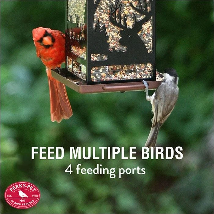 Perky-Pet® Wilderness Lantern Wild Bird Feeder - Image 5