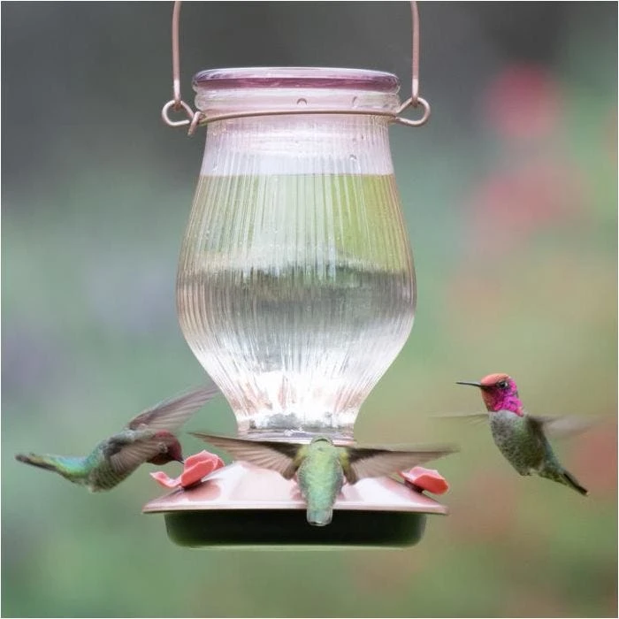 Perky-PetĀ® Rose Gold Top-Fill Glass Hummingbird Feeder