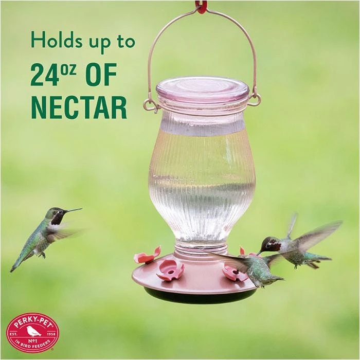 Perky-PetĀ® Rose Gold Top-Fill Glass Hummingbird Feeder - Image 9