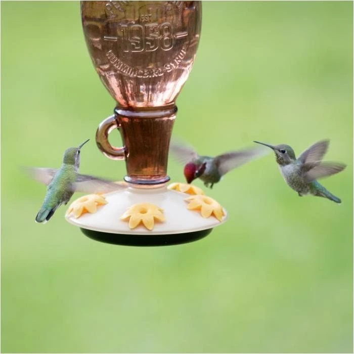 Perky-PetĀ® Sugar Maple Top-Fill Glass Hummingbird Feeder - Image 12