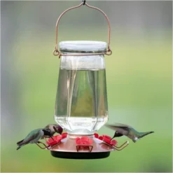 Perky-PetĀ® Crystal Top-Fill Glass Hummingbird Feeder