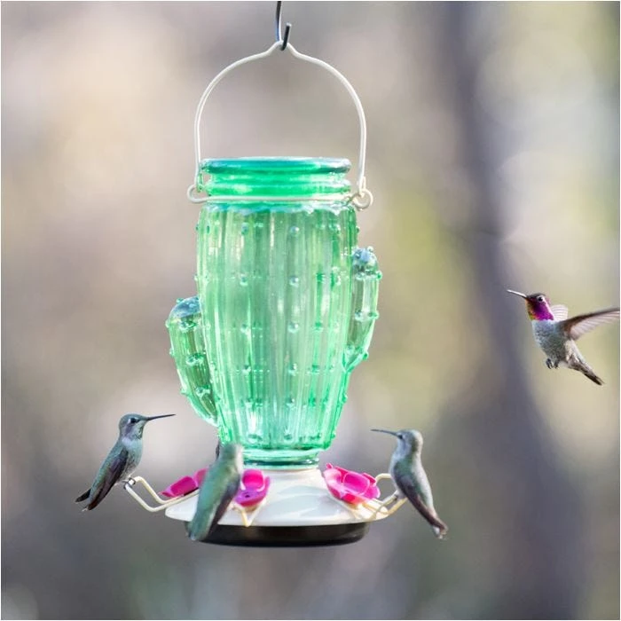 Perky-PetĀ® Cactus Top-Fill Hummingbird Feeder - Image 4