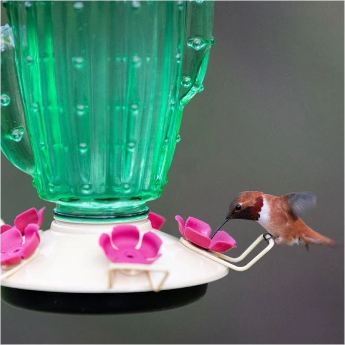 Perky-PetĀ® Cactus Top-Fill Hummingbird Feeder - Image 5