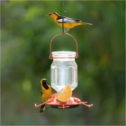Perky-Pet® Oriole Top-Fill Feeder