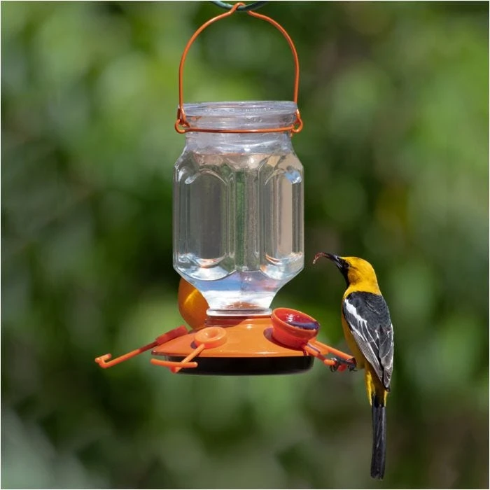 Perky-PetĀ® Oriole Top-Fill Feeder - Image 14