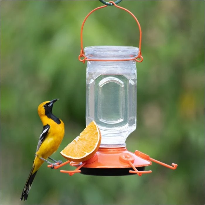 Perky-PetĀ® Oriole Top-Fill Feeder - Image 15