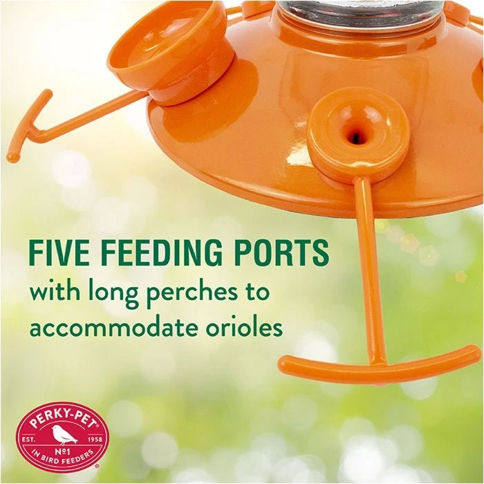 Perky-PetĀ® Oriole Top-Fill Feeder - Image 4