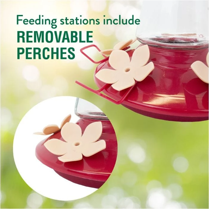 Perky-Pet® Top-Fill Pinch-Waist Glass Hummingbird Feeder - 12 Oz Nectar Capacity - Image 5