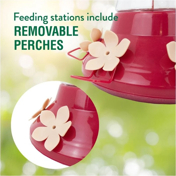 Perky-PetĀ® Top-Fill Favored Pinch-Waist Glass Hummingbird Feeder - 20 Oz Nectar Capacity - Image 5