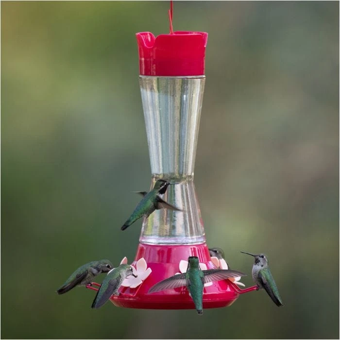 Perky-PetĀ® Top-Fill Favored Pinch-Waist Glass Hummingbird Feeder - 20 Oz Nectar Capacity - Image 17