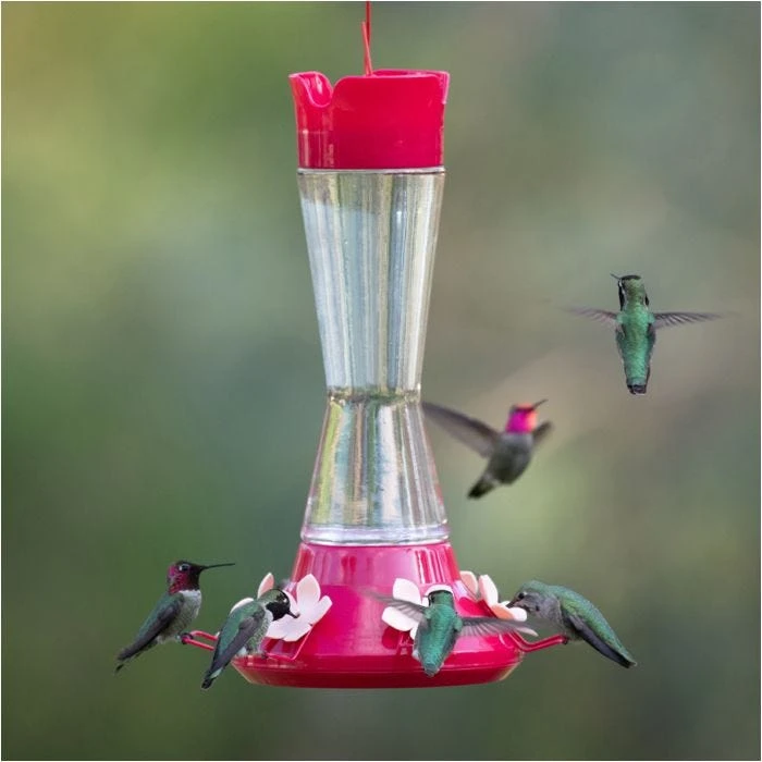 Perky-PetĀ® Top-Fill Favored Pinch-Waist Glass Hummingbird Feeder - 20 Oz Nectar Capacity - Image 18