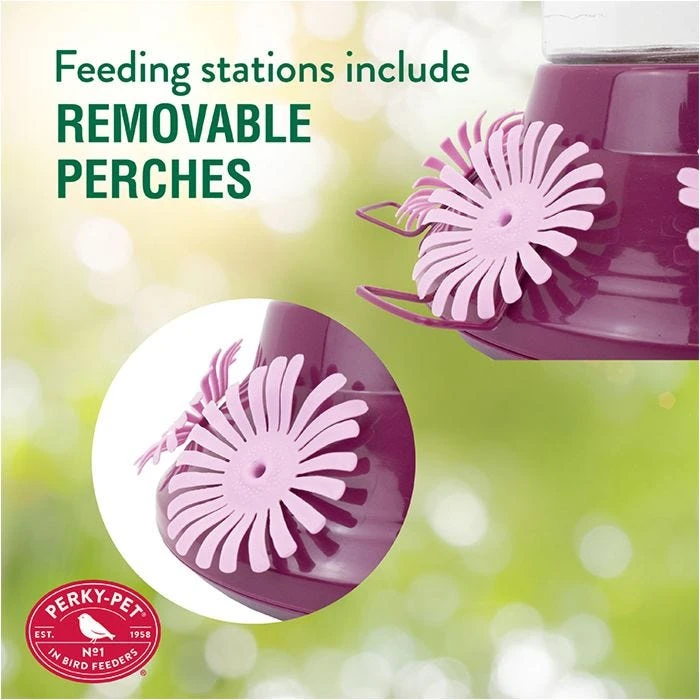 Perky-PetĀ® Top-Fill Hummer's Favorite Glass Hummingbird Feeder - Image 5