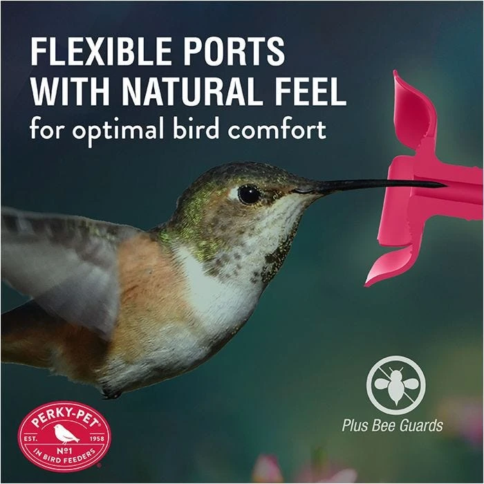 Perky-PetĀ® Top-Fill Hummer's Favorite Glass Hummingbird Feeder - Image 6