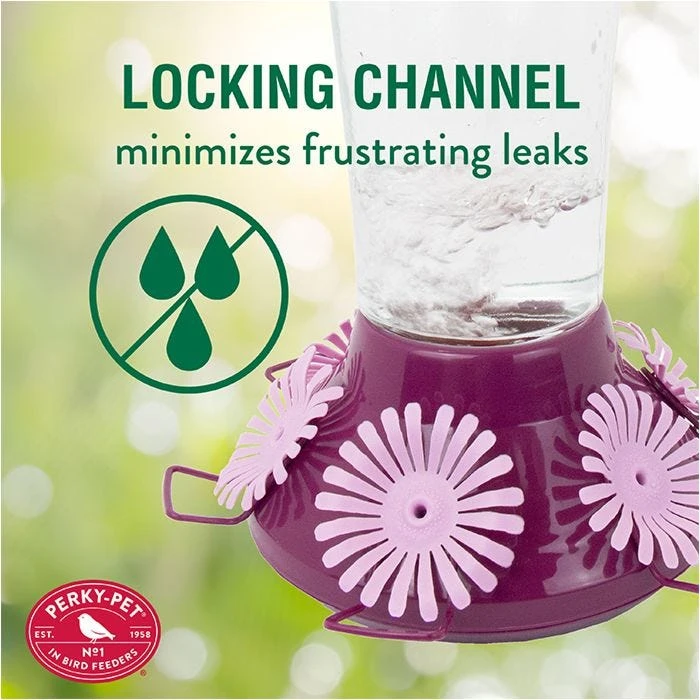 Perky-PetĀ® Top-Fill Hummer's Favorite Glass Hummingbird Feeder - Image 7