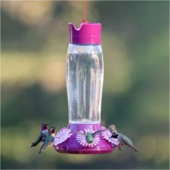 Perky-Pet® Top-Fill Hummer's Favorite Glass Hummingbird Feeder