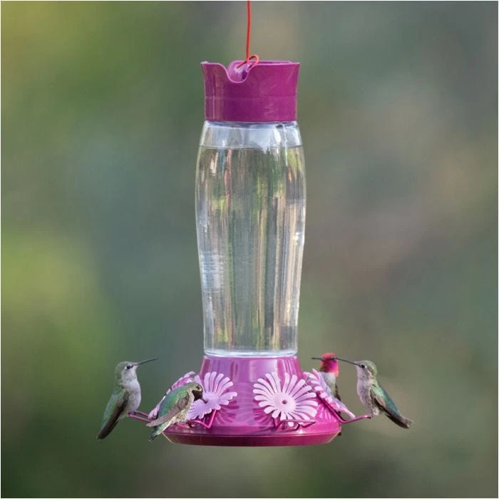 Perky-PetĀ® Top-Fill Hummer's Favorite Glass Hummingbird Feeder - Image 17