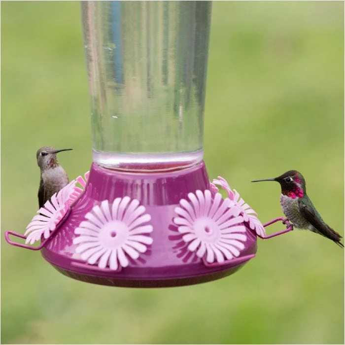Perky-PetĀ® Top-Fill Hummer's Favorite Glass Hummingbird Feeder - Image 19