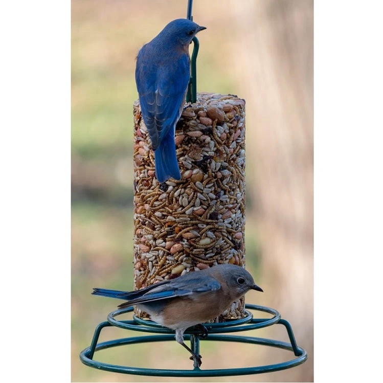 Mr. Bird Bugs, Nuts & Fruit Seed Log - Image 2