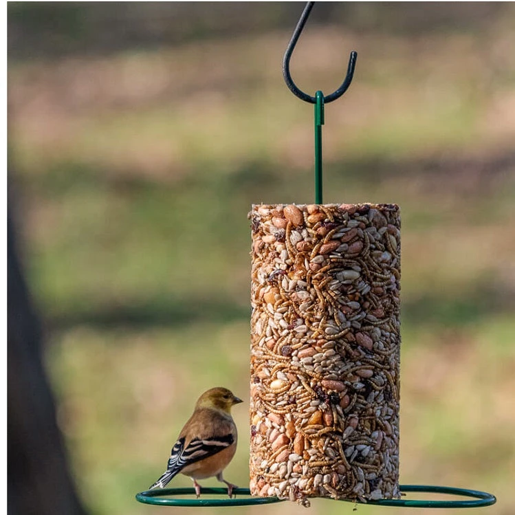 Mr. Bird Bugs, Nuts & Fruit Seed Log - Image 4