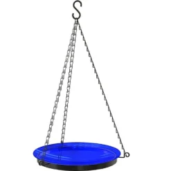 Glass Hanging Birdbath 10" Assorted Colors