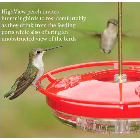 HummZinger HighView Feeder, 12 Oz - Image 3