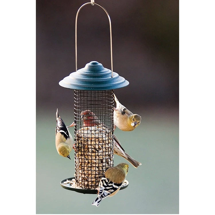 Mini-Magnum Metal Screen Sunflower Feeder - Image 2