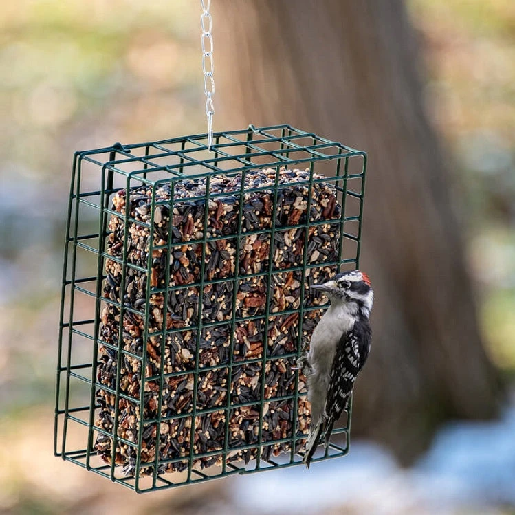 Mr. Bird Woodpecker Feast Seed Cake- Large - Image 2