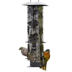 Perky Pet Squirrel-B-Gone Original Bird Feeder 336