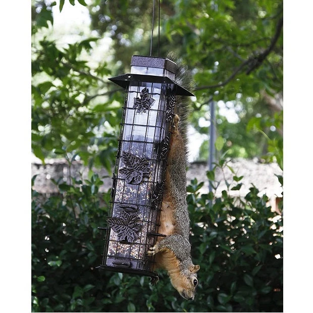 Perky Pet Squirrel-B-Gone Original Bird Feeder 336 - Image 5