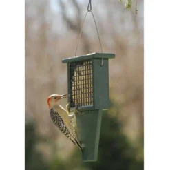 Songbird Essentials Recycled Plastic Suet Feeder With Tail Prop
