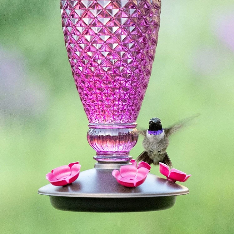 Perky-Pet Diamond Wine Top-Fill Glass Hummingbird Feeder - Image 2