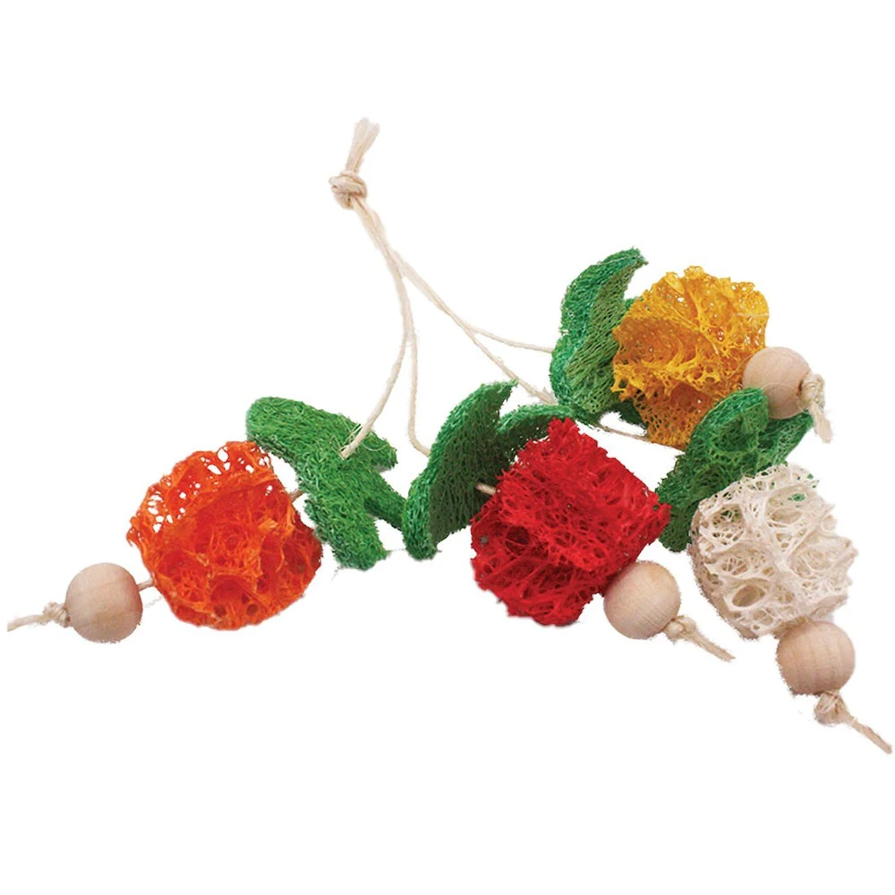 A&E Cage Company Nibbles Loofah Bunch Fruit Small Pet Toy - Image 2