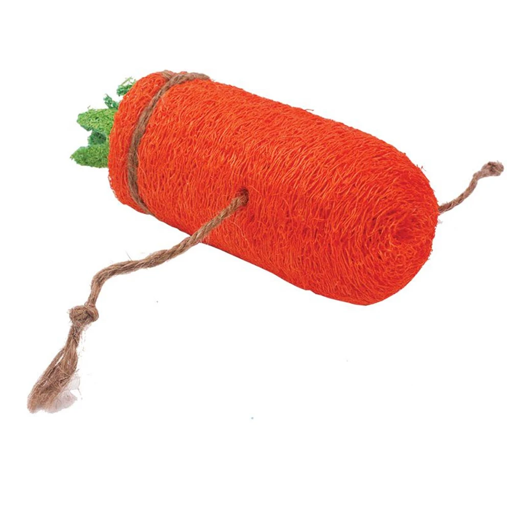 A&E Cage Company Nibbles Loofah Carrot Small Animal Pet Toy, Large